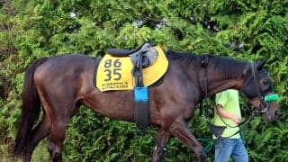 【クイーンＳ】武豊騎手とコンビのエリカエクスプレスが単勝２・８倍で１番人気　３連単は上位２７通りまでエリカ絡み