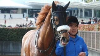 【注目馬動向】フォーエバーヤングの半妹ダーリングハーストは牝馬限定戦の８月３０日の新潟・３歳上１勝クラスへ