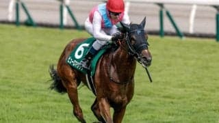 【AI予想・アイビスSD】前走以上の状態で連覇を目指す！ 人工知能は快速牝馬に自信の◎