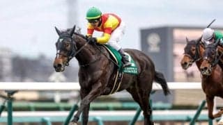 【クイーンS前日オッズ】エリカエクスプレスが2.8倍で1番人気