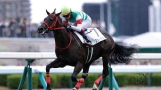 【新馬/札幌5R】シスキン産駒 ブルージェイがデビューV
