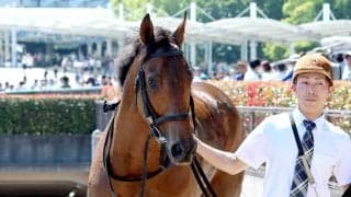 【２日の注目・中京６Ｒ】前走６馬身差圧勝のトミーバローズ　１勝クラスでＧ１級の勝ち時計をマーク