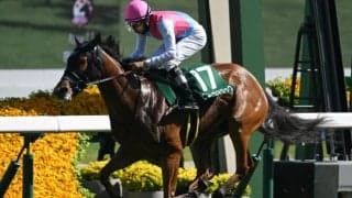 【アイビスSD予想】サマースプリント第3戦 直線コースで適性問われる