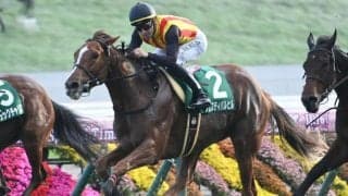 【クイーンS予想】秋のGI目指す牝馬のステップ戦 器用さ求められる札幌1800m