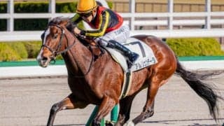 名牝ジェンティルドンナの6番仔 アルジェンテーラが復帰戦で初勝利なるか
