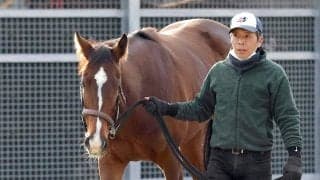 【２日の注目・中京１２Ｒ】名牝ジェンティルドンナを母に持つ良血馬が初勝利へ　６か月ぶりも距離短縮で仕切り直し