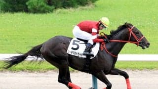【新潟２Ｒ】藤田晋オーナーのリーチツモドライチが一発ツモ！　戸崎圭太騎手「ゆったりしたいい走り」