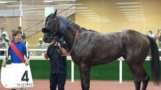 【中京２Ｒ・２歳新馬】ジャスティファイ産駒のファンビッチャンが快勝　幸英明騎手「タイム以上に強かった」