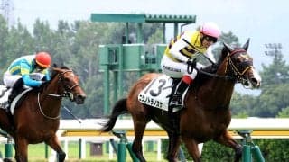【新潟３Ｒ】ニシノトラノスケが千葉厩舎ゆかりの血統、馬主の組み合わせで初陣Ｖ　「兄よりも上に行けるように」