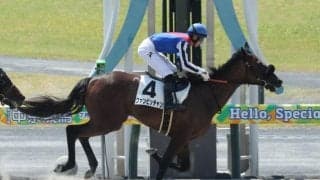 【中京2R新馬戦結果】ジャスティファイ産駒ファンビッチャンが人気に応えてV