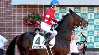 【札幌５Ｒ・２歳新馬】藤田晋オーナーの２・５億円馬スワッグウォークは直線伸びず４着　武豊騎手「まだ仕上がり途上」