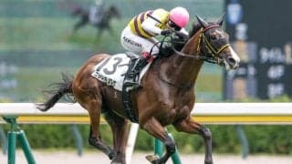 【新潟3R新馬戦結果】8番人気ニシノトラノスケが初陣飾る アドマイヤマーズ産駒