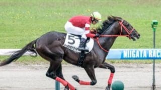 【新潟2R新馬戦結果】リーチツモドライチが逃げ切りV ライフイズグッド産駒のJRA初勝利