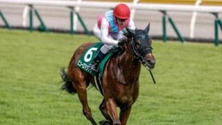 【アイビスSD・馬体重】ピューロマジックは460kg(+2)、アメリカンステージは514kg(+6)