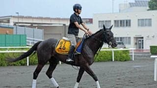 【クイーンＳ】「スタートしての不利が痛かった」横山武史騎手も無念　ケリフレッドアスクは８着に沈む