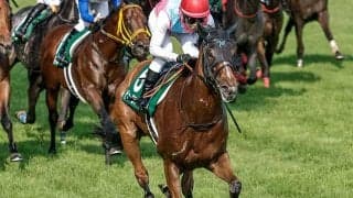 【アイビスSD結果】ピューロマジックが圧勝で連覇達成！ カルストンライトオのJRAレコードを更新