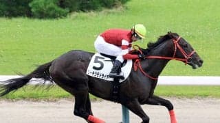 【新潟２Ｒ・２歳新馬】藤田晋オーナーのリーチツモドライチが一発でアガった　戸崎圭太騎手「いい走りでした」