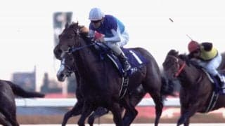 レース史上最大の9馬身差V アドマイヤドンが制した03年エルムSを振り返る