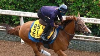 【ＣＢＣ賞・水納の特注馬】北九州記念５着のアブキールベイは軽視禁物　スムーズならチャンス十分