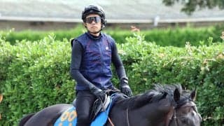 【エルムＳ・浅子の特注馬】ウェイワードアクトは前走の勝ち方に舞台適性が凝縮　実は先入観を覆す右回り巧者！？