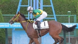 【ダリア賞・坂本の特注馬】芝替わり＆距離延長で挑むラピッドテソーロに妙味あり　陣営は前向きな挑戦を強調