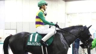【エルムＳ】２戦連続３着のヒルノハンブルクのカギは気性面　陣営「集中力が途切れるところがある」