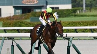 【CBC賞見どころ】ディアナザールの重賞初制覇なるか