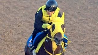 【エルムＳ】鋭い末脚とコーナリングを武器にヴァルツァーシャルが重賞２勝目を狙う　高木調教師「前がやりあってくれる形が理想」