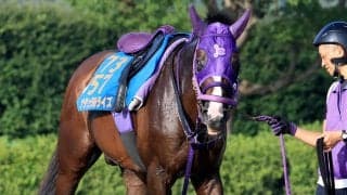 【エルムＳ】昨年のダート２冠馬ナチュラルライズが新馬圧勝の舞台で巻き返す　伊藤圭調教師「馬場適性はあると思う」