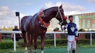 【韓国・KRAカップクラシック】コリアカップの前哨戦はレースレコードでカンプンマが勝利