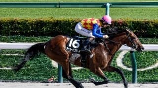 【エルムS想定騎手】テーオーパスワードは松山弘平騎手、ルクソールカフェは岩田望来騎手