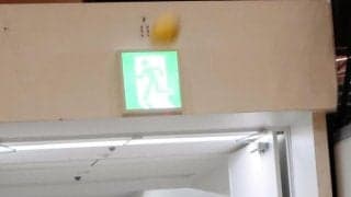 把瑠都や大砂嵐は大相撲から総合格闘技に転身　１５歳がＭＭＡから角界入りへ「体を大きくして強くなりたい」【大相撲】