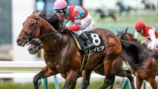 【CBC賞想定騎手】レイピアは横山武史騎手、ディアナザールは川田将雅騎手