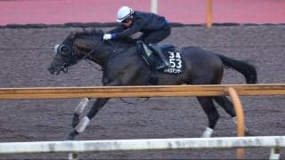 【レパードＳ】Ｊｐｎ１勝ちの実績があるパイロマンサーが帰国初戦で巻き返す　吉村調教師「軌道に乗せていかないと」