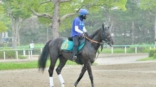 コントレイル産駒のアトミックリーチ 宮田師「いいモノを持っていると思う」/関東馬メイクデビュー情報
