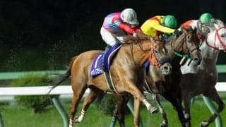 【盛岡・フェアリーカップ】山本政聡「思い切って後ろで競馬をした」好騎乗で重賞制覇へ導く
