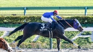 【エルムS展望】マリーンSの勝ち馬ウェイワードアクトが重賞初制覇へ