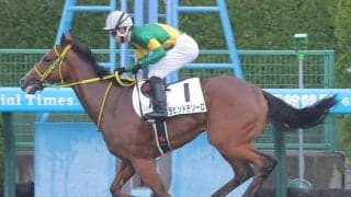 【ダリア賞】ラピッドテソーロは非凡なダッシュ力でオープン取りへ　畠山調教師「芝でも十分にやれると思っている」