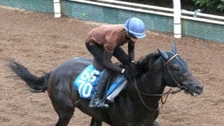 【ＣＢＣ賞】前走は放馬で競走除外…クラスペディアは調整方法を見直し再出発　河嶋調教師「いい精神状態で...」