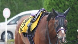 【ＣＢＣ賞】勢いづくジェニファーが永島まなみ騎手と重賞Ｖへ　浜田調教師「ここにきて馬がもう一段成長してきた」