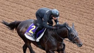 １着賞金４億円超　豪州コックスプレートの予備登録馬１０３頭を発表　日本馬はコスモキュランダ、シンエンペラーが登録