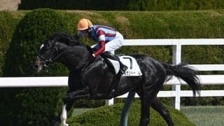 【レパードS予想オッズ】メルカントゥールが予想1番人気