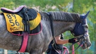 今村聖奈騎手と偉業達成テイエムスパーダ引退発表に「忘れられません」「夢をありがとう」「何度もワクワク」の声