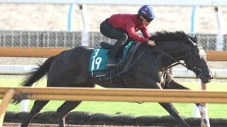 【今週のトク注新馬】 「今まで乗ったコントレイル産駒の中では一番...」２・６億円馬ドラゴンバルドいよいよ初陣