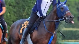 【レパードＳ】勢い最高潮！堅実派のマクリールが初タイトルへ挑む　陣営「ここを取れたら選択肢が広がる」
