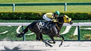 【レパードS展望】前走好位から運んだ中型馬の台頭に警戒