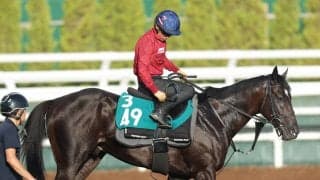【今週のトク注新馬】良血２・６億円馬ドラゴンバルド５馬身突き放す猛調教