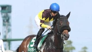 【注目馬動向】東海Ｓで１番人気３着のドンインザムードは武蔵野Ｓで巻き返しを狙う　東京コースとは相性抜群