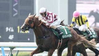 【注目馬動向】小倉記念で重賞初制覇のゼンダンハヤブサは引き続き酒井学騎手で札幌記念へ　橋田調教師「いい調整ができている」