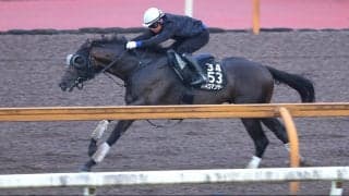 【レパードＳ】再び連勝街道へ！　パイロマンサーが坂路でパワフルな動き　吉村調教師「いい結果を出したいです」